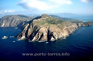 notare l'inclinazione degli strati rocciosi dell'Asinara